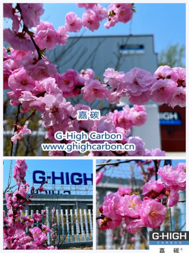 環(huán)保嘉碳，春花爛漫