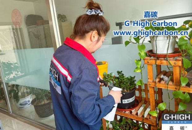 午休時光種花忙，美化辦公環(huán)境添綠意