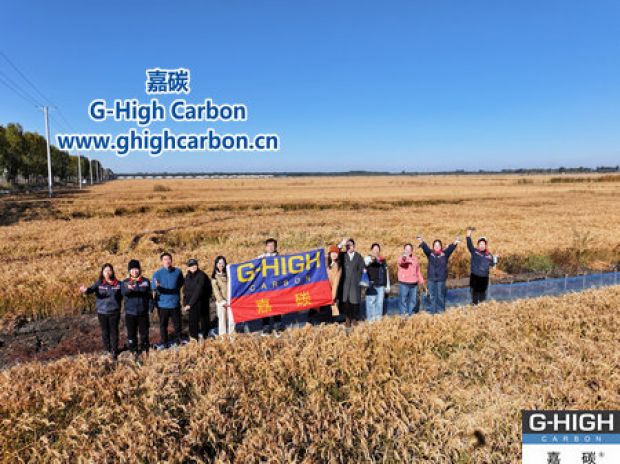 嘉碳助力農(nóng)機生產(chǎn) 員工金秋盤錦樂享“稻黃蟹肥”